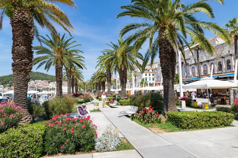 Palm trees and flower beds along the Riva promenade in Split, with café umbrellas and the stone south facade of Diocletian's Palace on the right